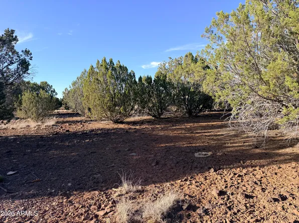 9070 PINTO Trail #-, Show Low, AZ 85901