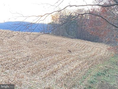 0 Llama Ln, Needmore, PA, 17238