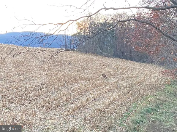 0 Llama Ln, Needmore, PA 17238