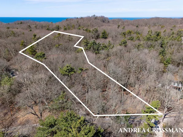 110 Park St, Saugatuck, MI 49453