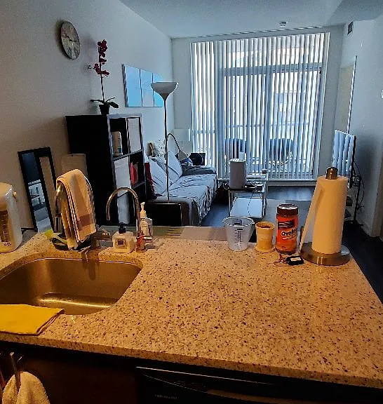 70 Forest Manor Rd #1201 — Photo 5