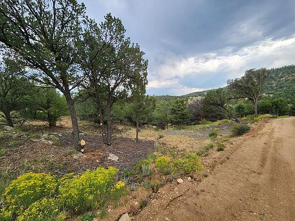 4th image of Bird Point Dr