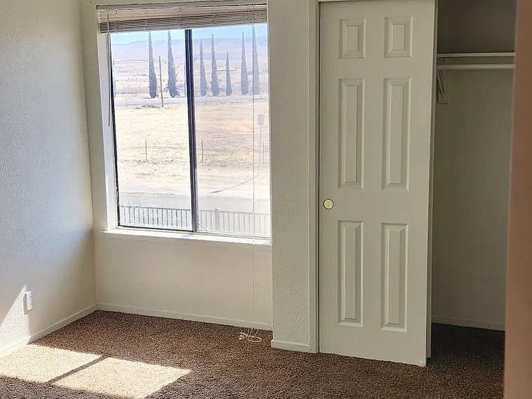 Elm Tree Estates Apartments — Photo 11