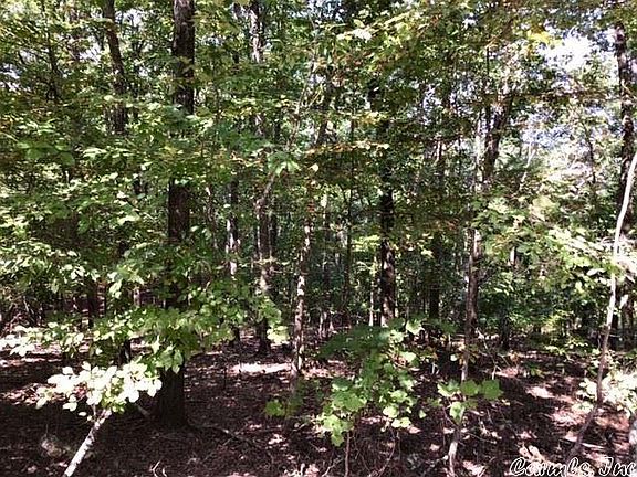 4th image of 10 Hillside Trl Lot 87