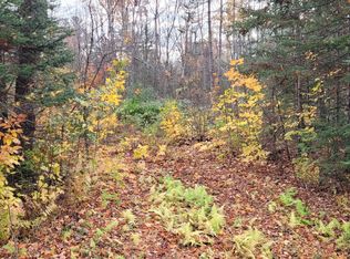 0 Storer Rd, Bradford, ME 04410