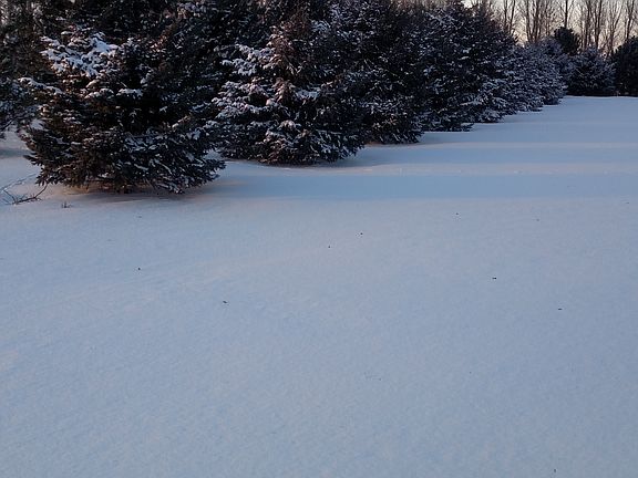 3rd image of 12681 240th Ave