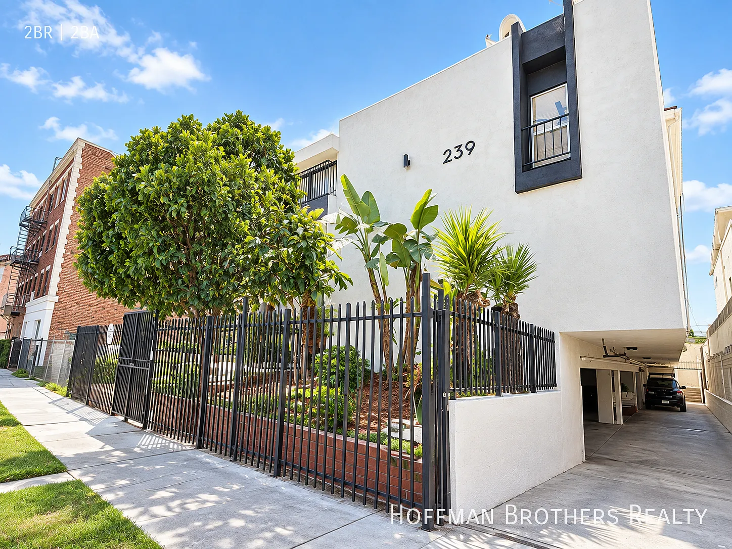 239 S Harvard Blvd Los Angeles, CA 90004 — Photo 3