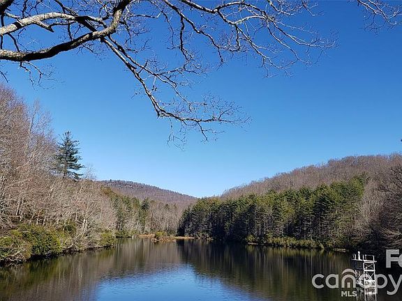 5th image of Galax Ln #G-11