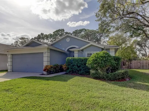 11111 Indian Oaks Dr, Tampa, FL 33625
