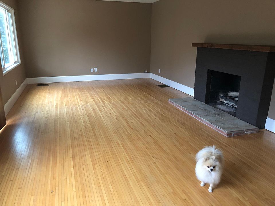 Living room, with Blitz