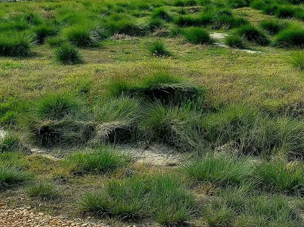 278 Rustic Oak Ln, Rockport, TX 78382