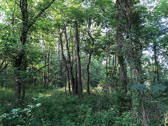 4th image of 13605 Township Road 108