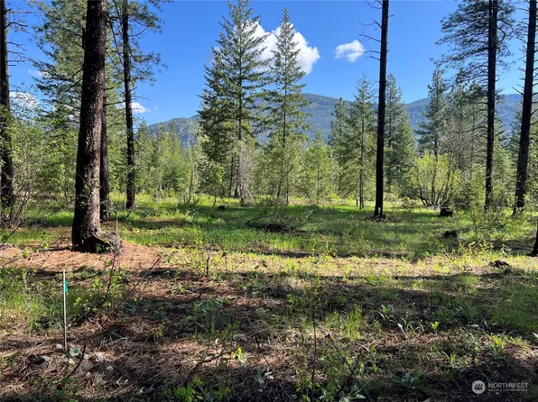 24 Liberty Lane, Winthrop, WA 98862