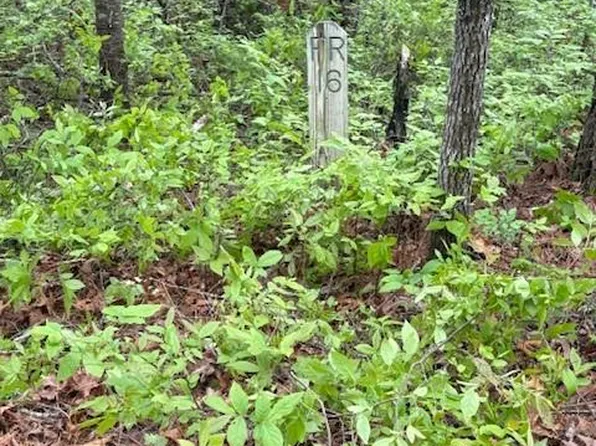 Fr 16 Opossum Path Fr #16, Brevard, NC 28712