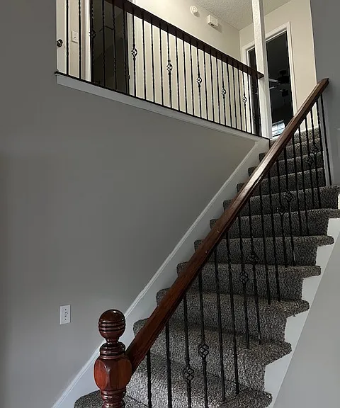 New Carpets on the stairs