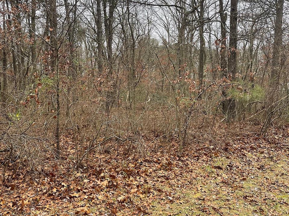 2nd image of Sherman Ave