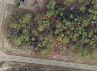 TBD SW 138TH PLACE LOT 10, OCALA, FL 34473