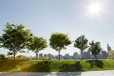 Rented by Blu Sky Realty And Management