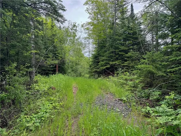 5.56 acres on Evergreen Road, Port Wing, WI 54865