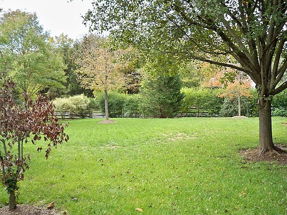 Fenced Backyard
