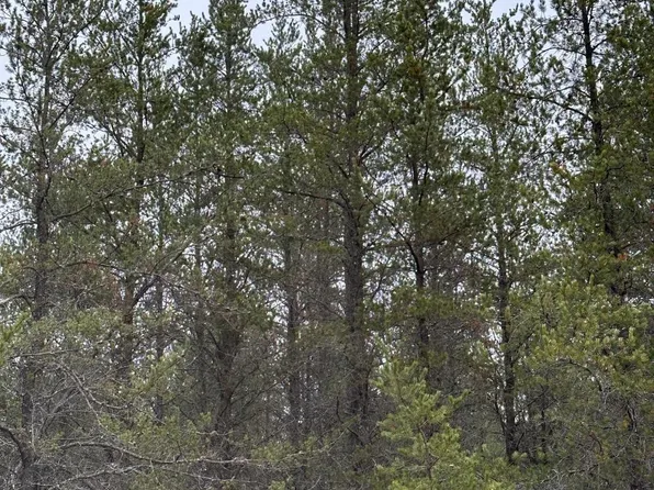 Lois Rd #4069-2, Tomahawk, WI 54487