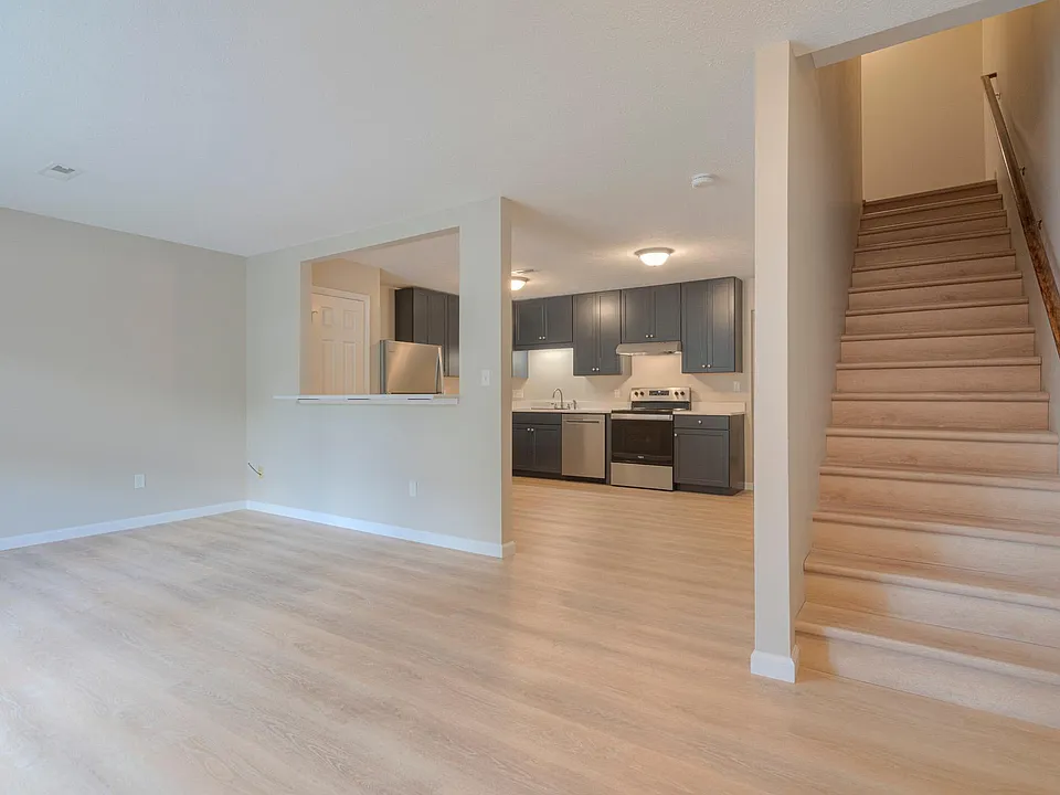Foyer-Living room-Kitchen