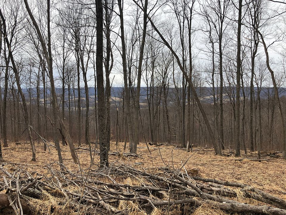 1st image of Mount Savage Rd