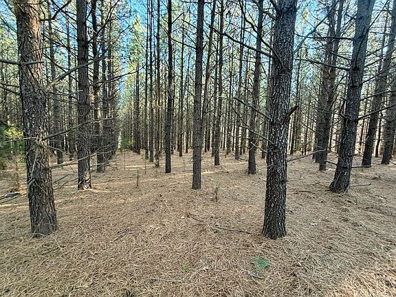 3rd image of 0 Dillards Hill Rd Lot 33 & 34