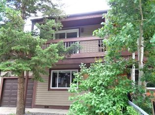 3307 Riverside Dr, Idaho Springs, CO 80452