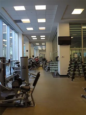 Rented by Platinum Properties | media 20
