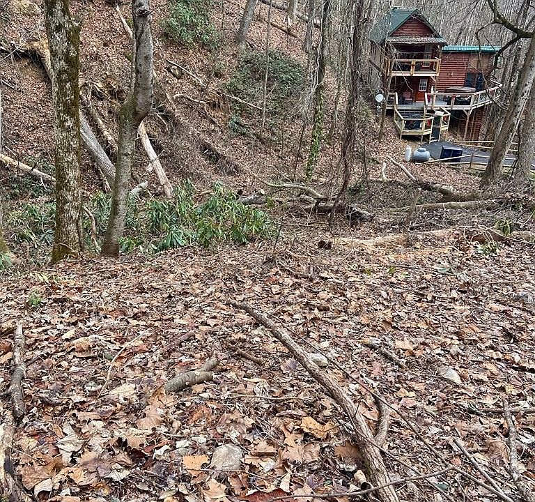 1st image of 7 Black Walnut Flats Rd