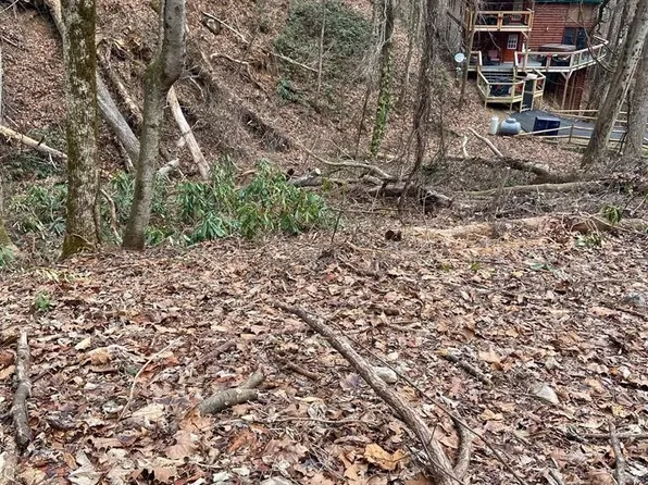 7 Black Walnut Flats Rd, Sevierville, TN 37862