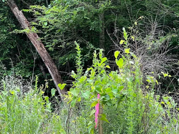 Xx Castle Lot 17, Glenwood, AR 71943