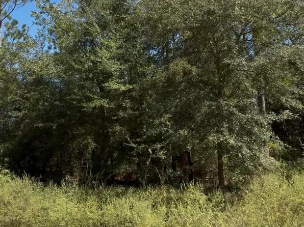 0 NE 150 Court, Williston, FL 32696