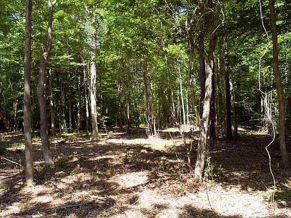 3rd image of Lot 7 See View Lane LOT 7
