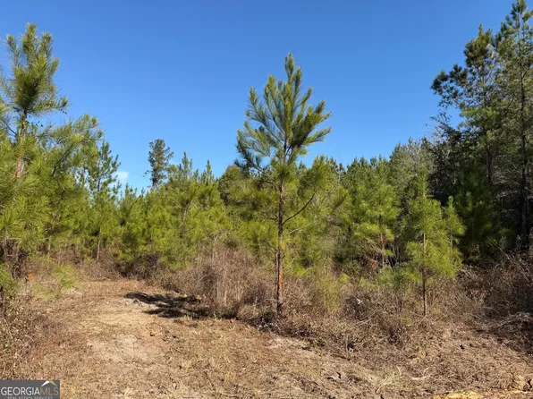 8 Sealy Wells Rd, Gordon, AL 36343