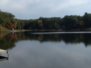 10211 S Basford Lake Rd, Baldwin, MI 49304