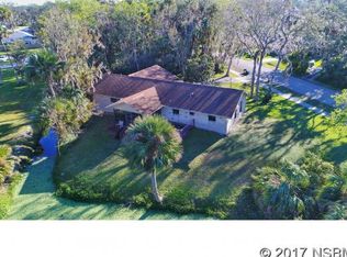 2927 Mango Tree Dr, Edgewater, FL 32141