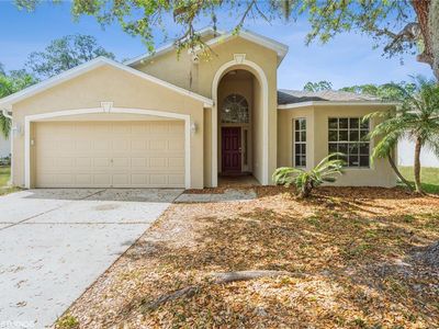 6333 Open Pasture Ct, Wesley Chapel, FL, 33545