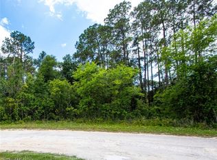 34160 Haas Dr, Webster, FL 33597