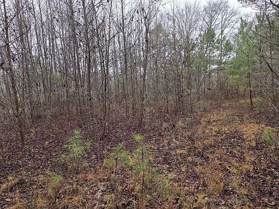 5th image of 0 Calamus Pond Rd