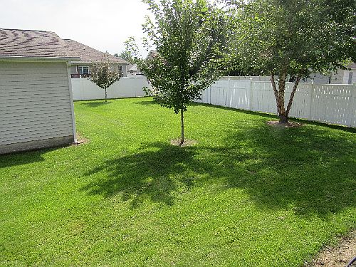 3rd image of 8200 Timberland Dr.