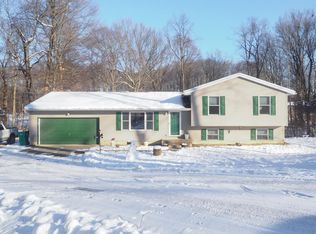11625 W Dr N, Bellevue, MI