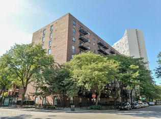3900 N Pine Grove Ave APT 308, Chicago, IL 60613