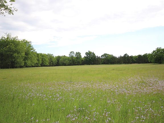 2nd image of 4616 Halls Hill Pike