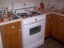 4th image of 2734 S Belgravia Dr