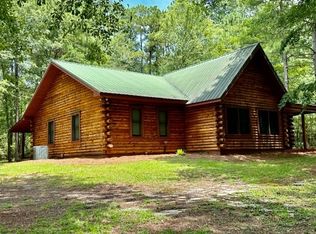 445 Mount Olivet Rd, Helena, GA 31037