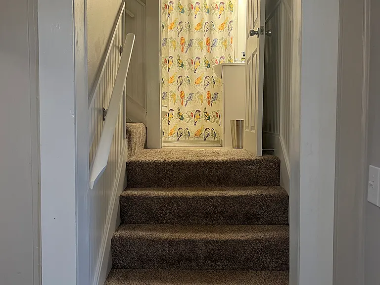113 Hemphill Rd — Photo 26