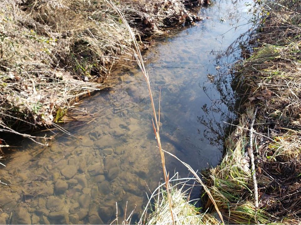 2nd image of 0 Wattenbarger Gap Rd