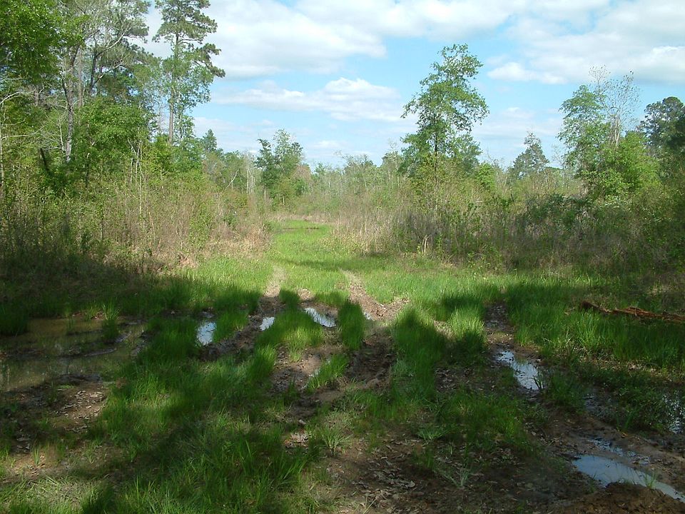 2nd image of 9447 Lucas Dr